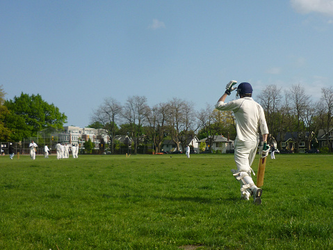 The Economics of Cricket Merchandise: Market Trends and Consumer Behavior